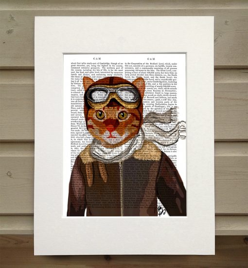 Fab Funky cat in flying jacket antiquarian print