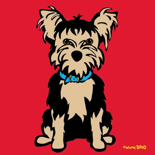 Marc Tetro Yorkshire Terrier on Red Print